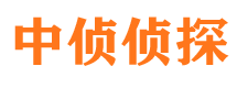 鱼峰侦探公司